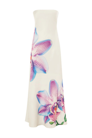 Elarisse | Celestial Maxi Dress