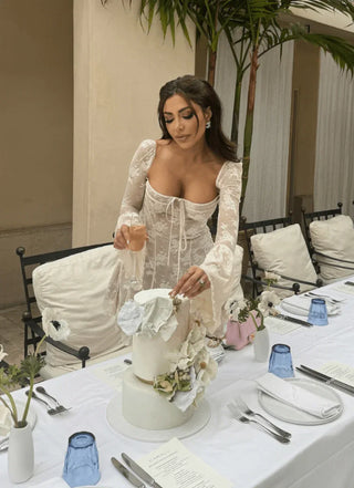 Lisandre Sheer Lace Mini Dress