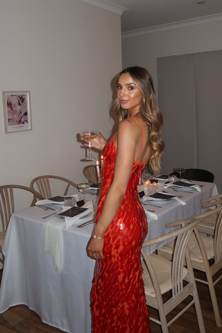 Zara | Sparkling Long Maxi Dress