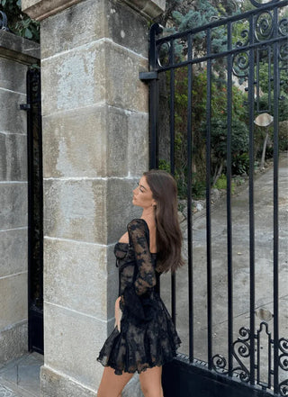 Lisandre Sheer Lace Mini Dress